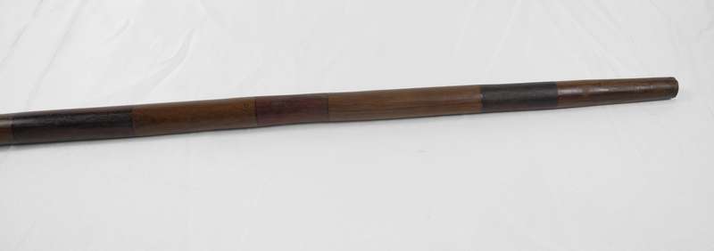 Handcrafted Walking Stick with Authentic Warthog Tusk Handle