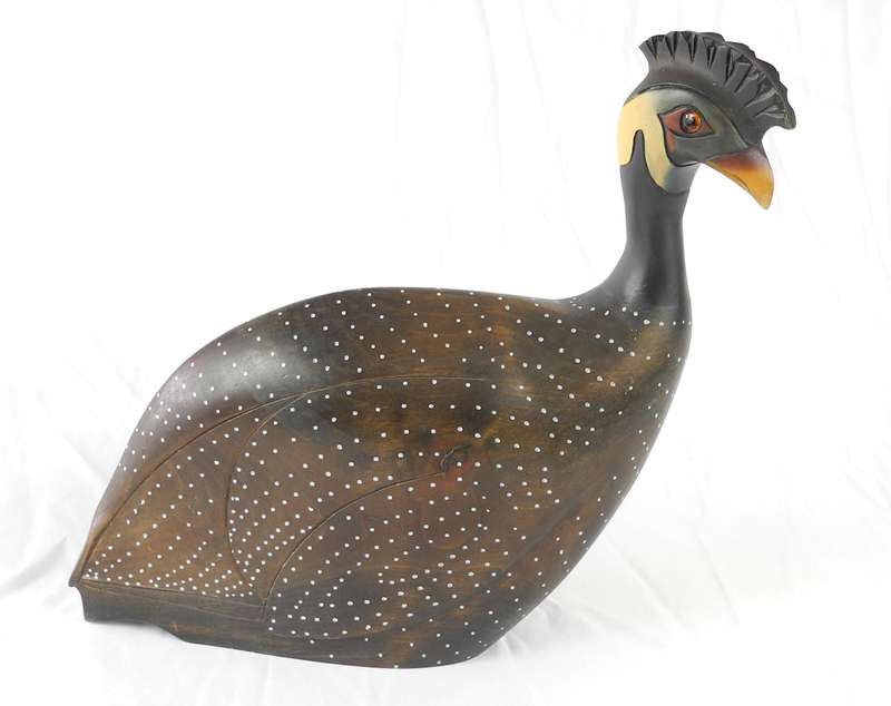 Feathers of Knysna Crested Guinea Fowl