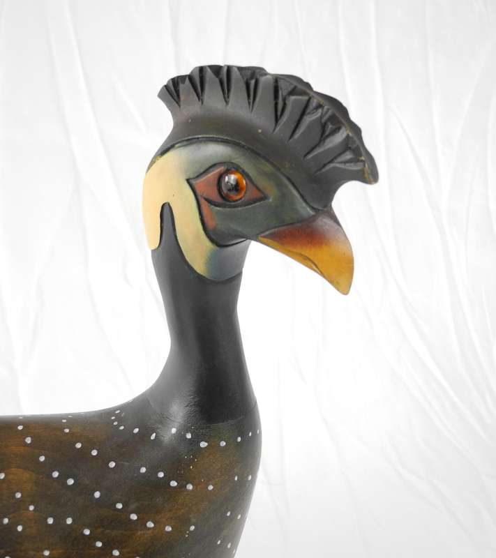 Feathers of Knysna Crested Guinea Fowl