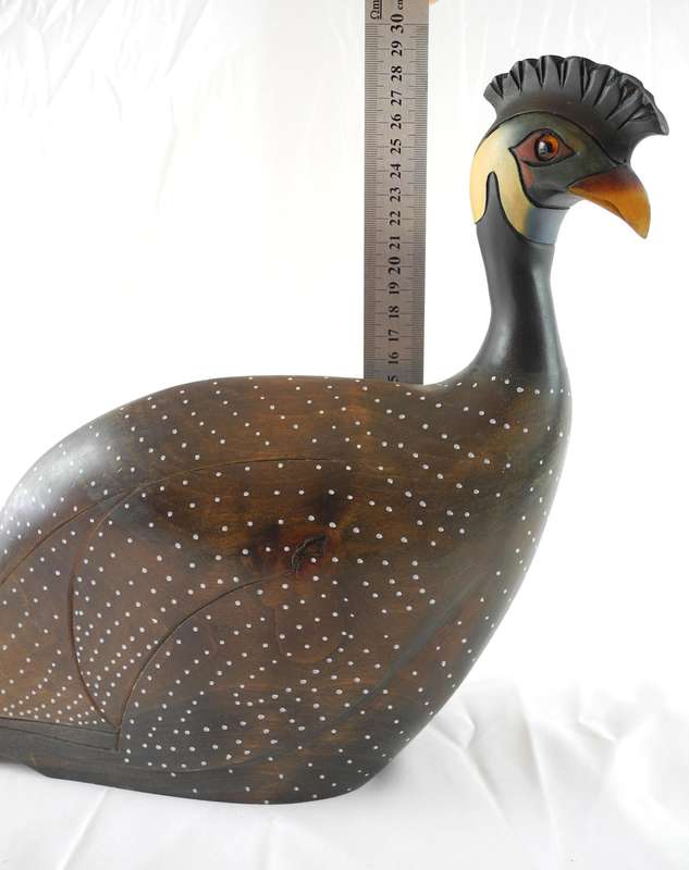 Feathers of Knysna Crested Guinea Fowl