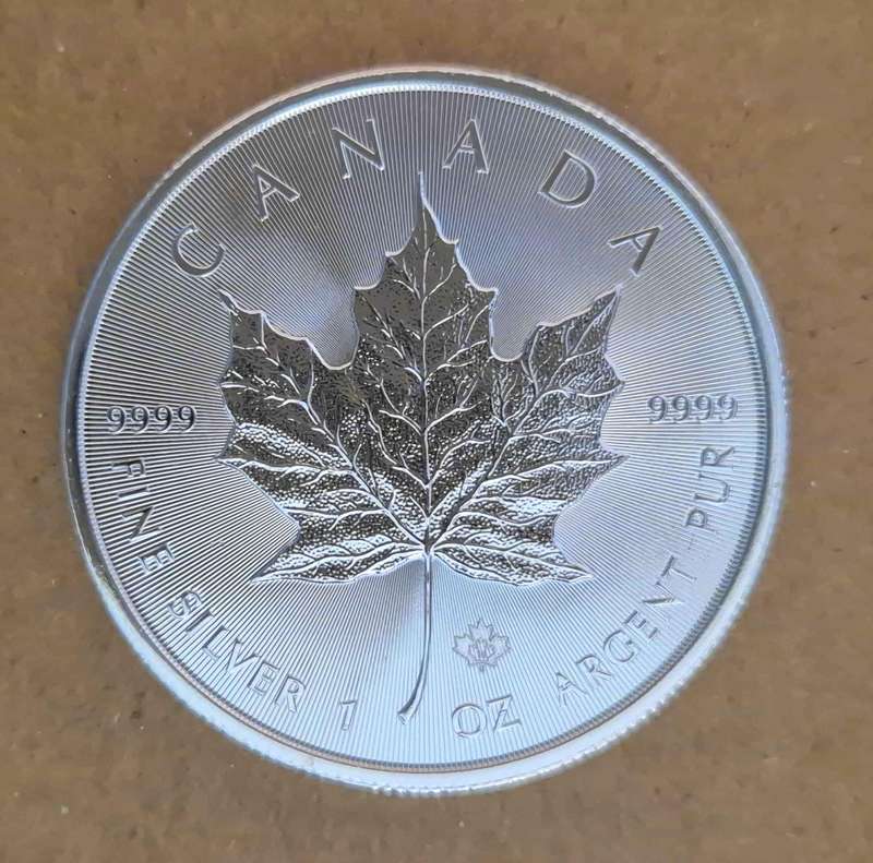 2014 Canadian Silver Maple Leaf Coin (capsule included)