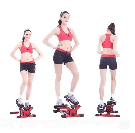 Heavy Duty Mini Fitness Twist Stepper Equipment