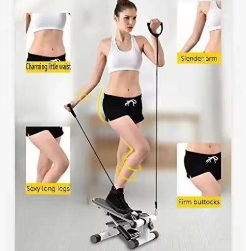 Multifunction Fitness Twist Stepper Electronic Display Home Slimming Climbing Machine Exercise