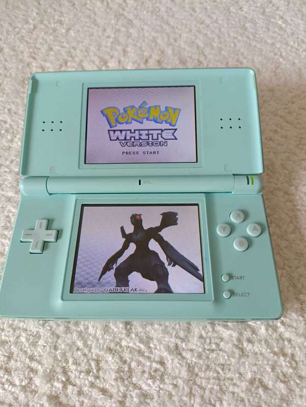 Nintendo Ds Lite Console +USB Charger