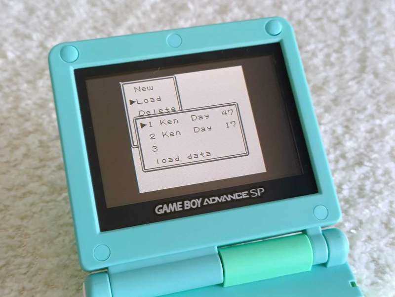 Survival Kids Gameboy Color Cartridge