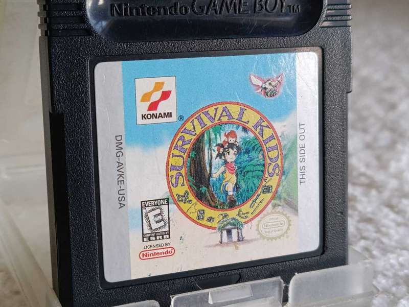 Survival Kids Gameboy Color Cartridge