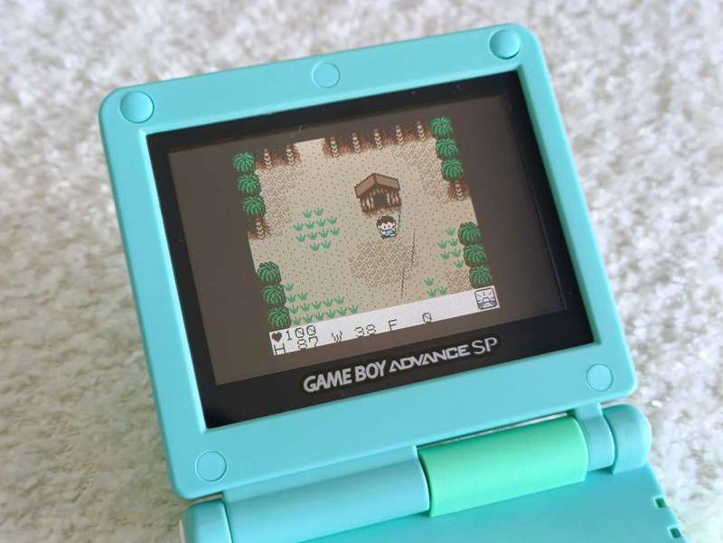 Survival Kids Gameboy Color Cartridge