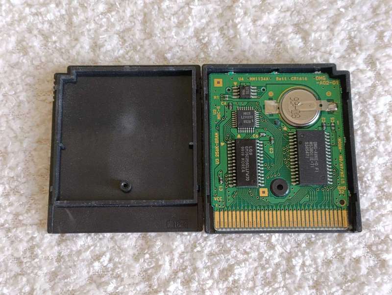 Survival Kids Gameboy Color Cartridge