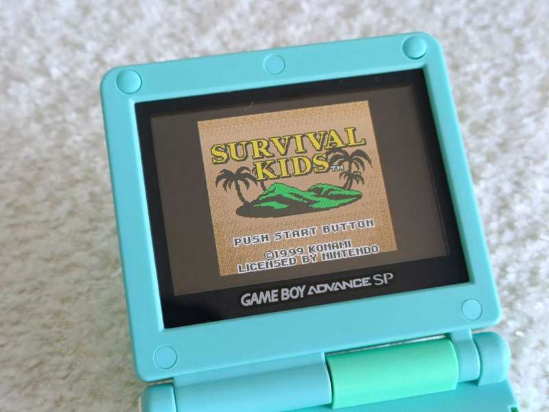 Survival Kids Gameboy Color Cartridge