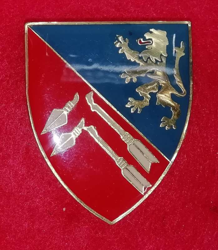 SWATF 91 Ambulance Brigade pocket flash