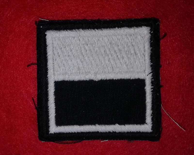 31/101 Battalion Bravo Company patch