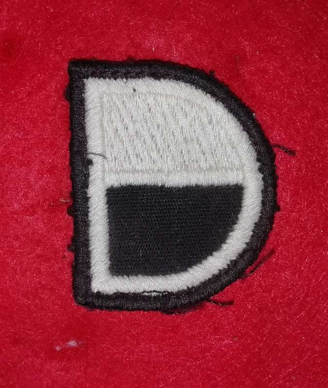 31/101 Battalion Delta Company patch