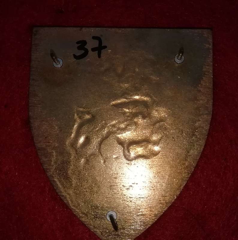 44 Para Brigade Static Line instructor flash
