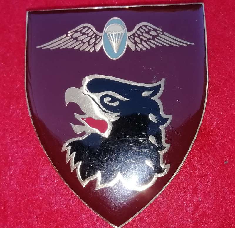 44 Para Brigade Static Line instructor flash