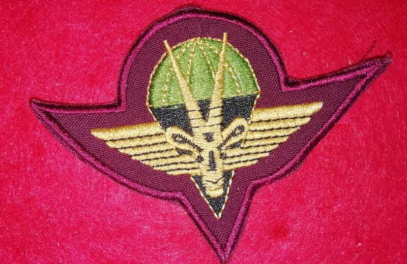 SWA Parachute Battalion Beret badge ( gold )