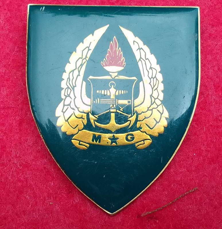Army Gymnasium shoulder flash