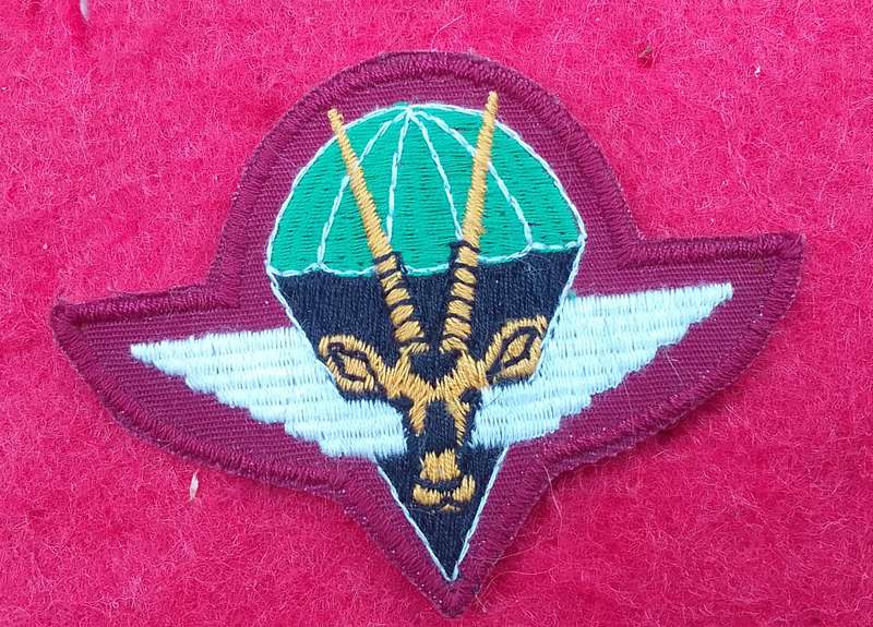 South West Africa Parachute Battalion beret badge (2 SWA Specialist Unit)