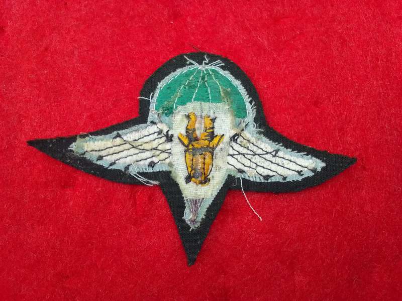 1 Parachute Battalion beret badge