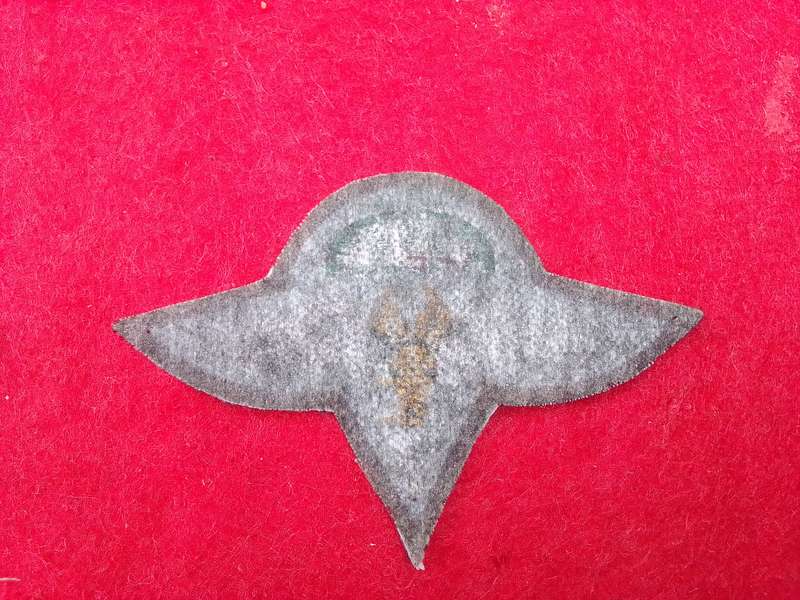 1 Parachute Battalion beret badge