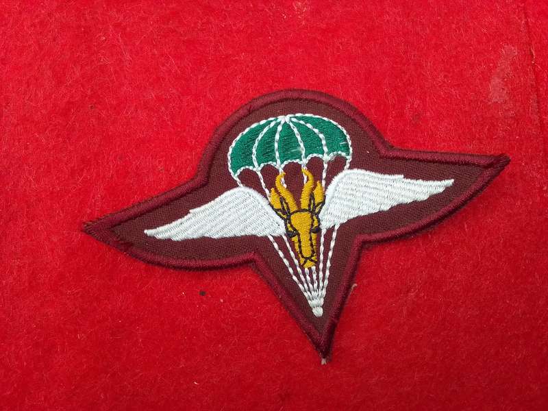1 Parachute Battalion beret badge