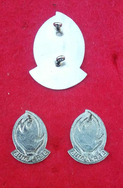 113 Battalion Cap & collars