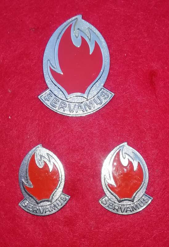 113 Battalion Cap & collars