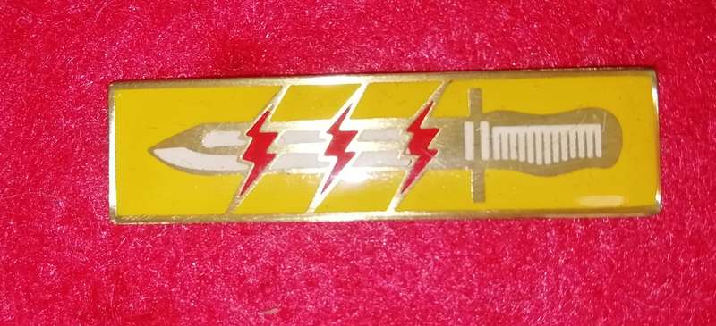 SADF/SANDF - 61 Mech Bn GP - Operations Participation Badge -- WHITE Handle variation