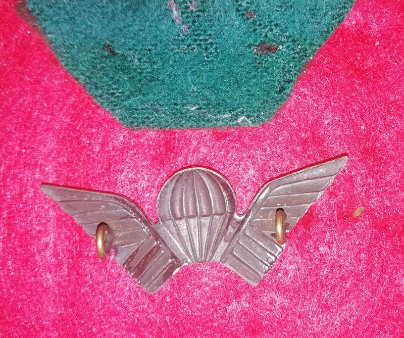 Rhodesian Selous Scouts para wings .