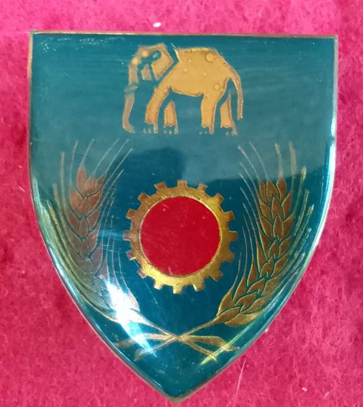 Eastern Province Command Maintenance unit shoulder flash