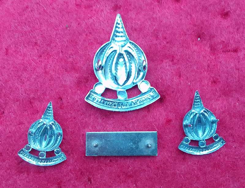 Finance Services Corps (Badge+collar+bar)