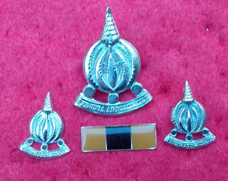 Finance Services Corps (Badge+collar+bar)