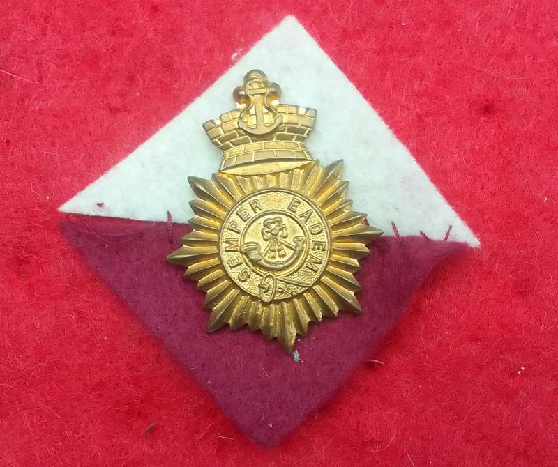 CAPE TOWN RIFLES OFFICERS CAP BADGE-WORN FROM 1964- 2X LUGS