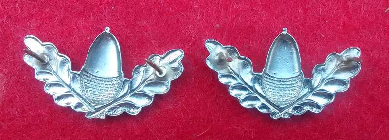Regiment Stellenbosch University chrome collars