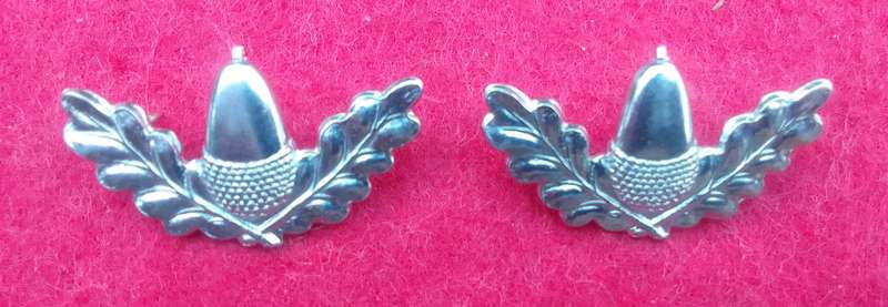 Regiment Stellenbosch University chrome collars
