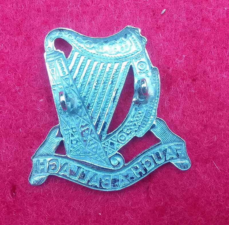 SOUTH   AFRICAN IRISH,WHITE METAL CAP BADGE-WORN FROM 1964- 2X LUGS