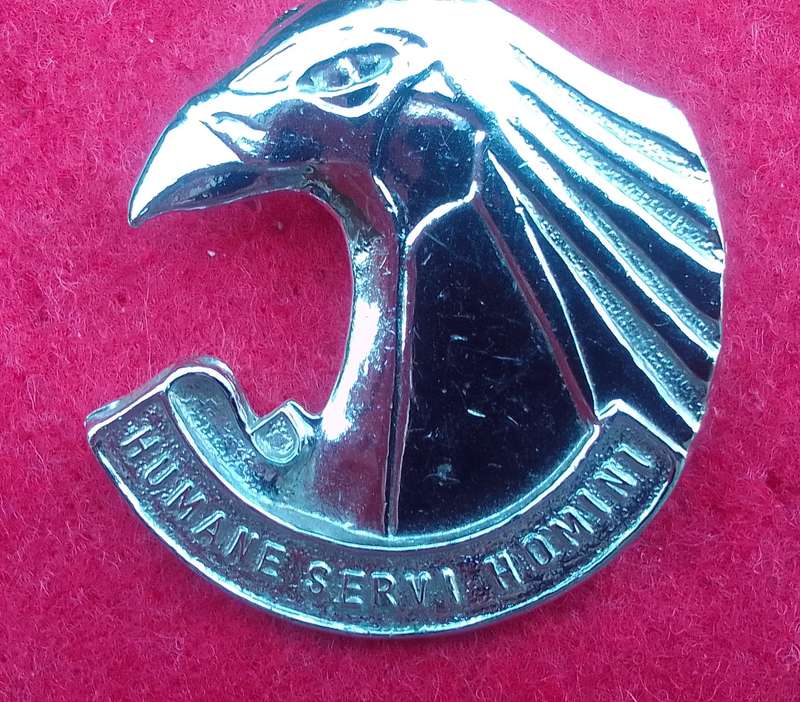 PERSONNEL SERVICE CORPS CAP BADGE