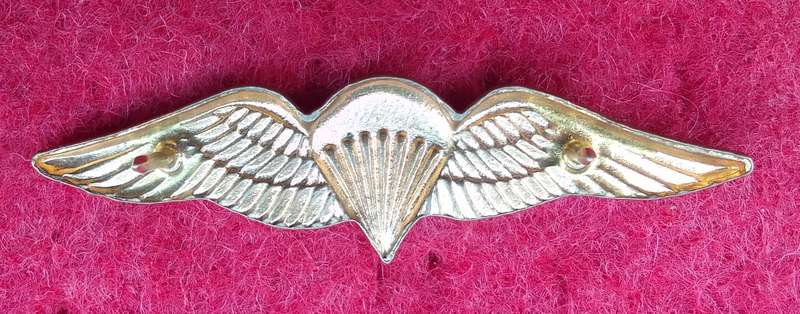 SA PARA BASIC GILDING METAL MESS DRESS WING- WORN FROM 1970'S- 2 PINS
