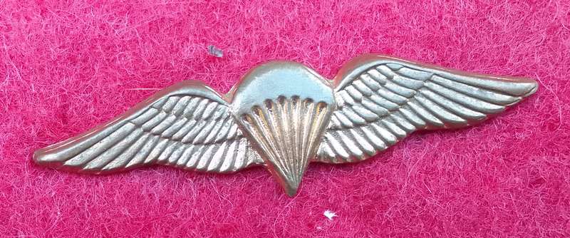 SA PARA BASIC GILDING METAL MESS DRESS WING- WORN FROM 1970'S- 2 PINS