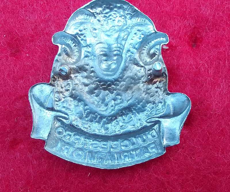 REGIMENT GROOT KAROO BERET BADGE