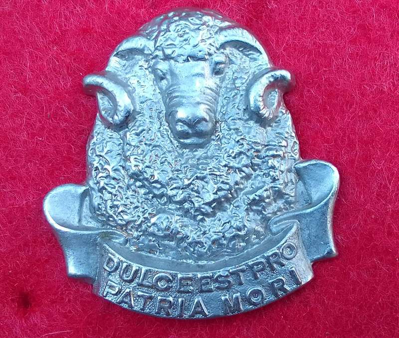 REGIMENT GROOT KAROO BERET BADGE