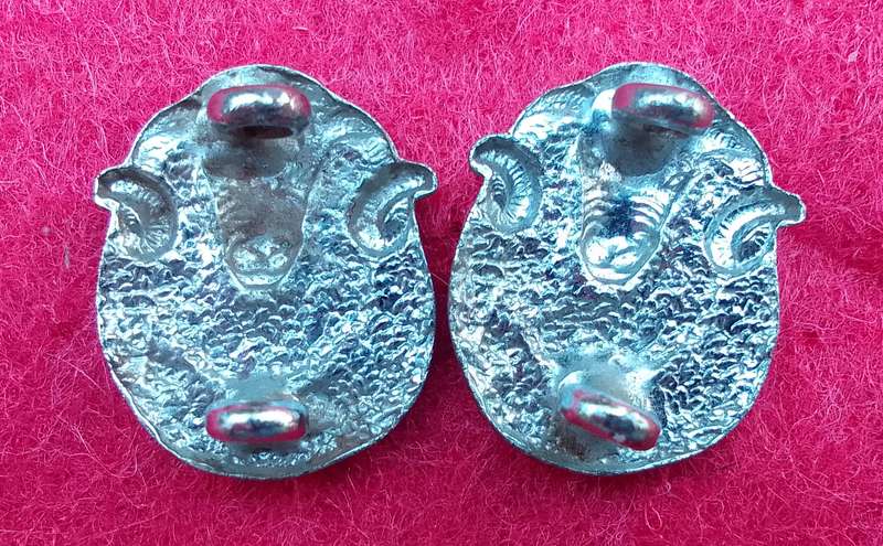 REGIMENT GROOT KAROO MESS DRESS COLLAR BADGES