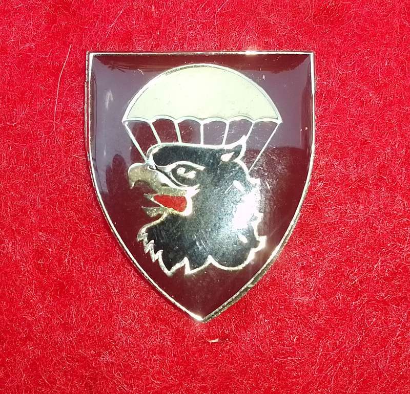 44 PARACHUTE BRIGADE FOB BADGE