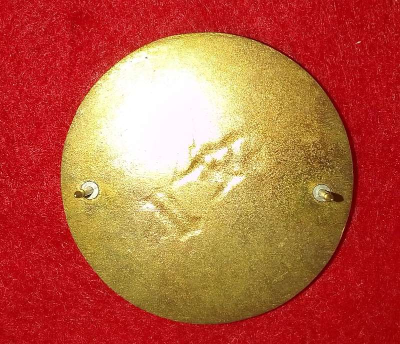 Pathfinders Qualification (pins intact)