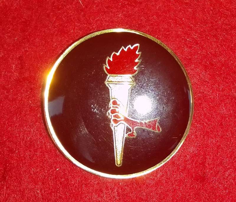Pathfinders Qualification (pins intact)