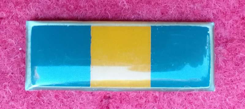 SADF CATERING CORPS BERET BAR
