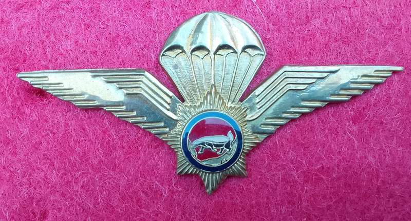 Vlakplaas Wing