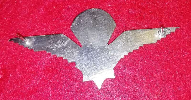 Vlakplaas Wing silver