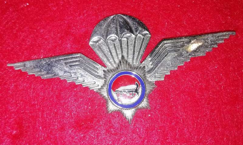 Vlakplaas Wing silver