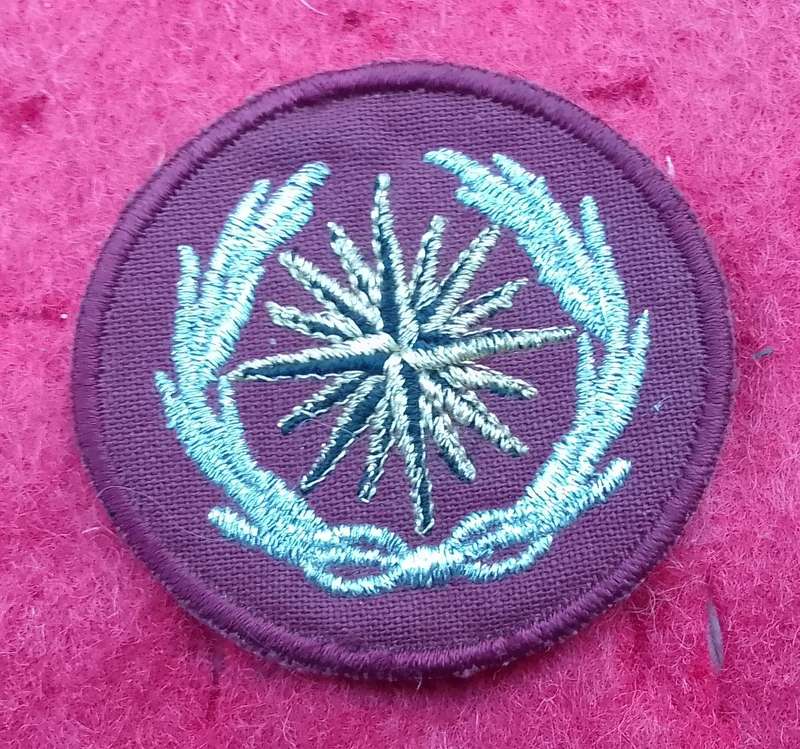 SPECIAL FORCES ( RECCE ) CLOTH BERET BADGE