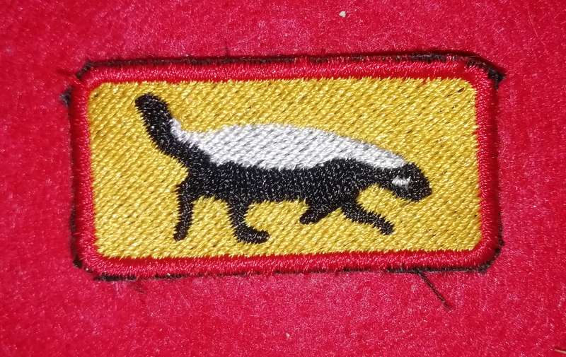 1 Specialist Unit Tracker Breast Badge - REPRODUCTION